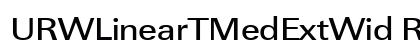 URWLinearTMedExtWid Regular preview