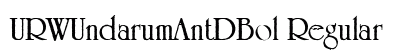 URWUndarumAntDBol Regular preview