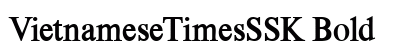 VietnameseTimesSSK Bold preview