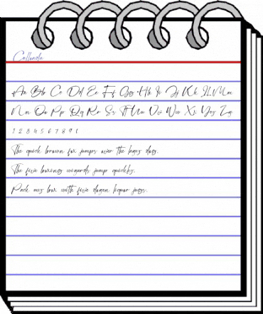 Calloada Regular animated font preview