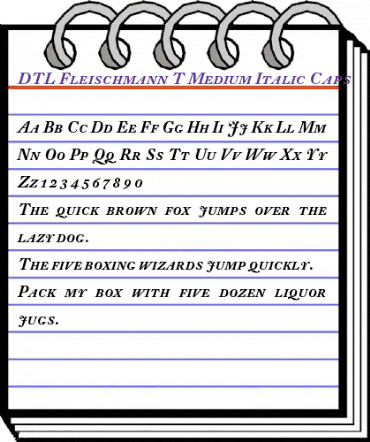 DTL Fleischmann Regular animated font preview DTL Fleischmann Regular animated font preview