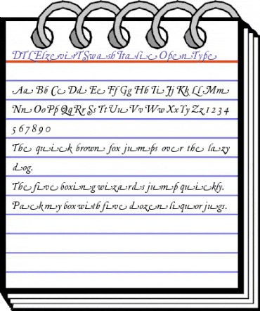 DTLElzevirTSwash Italic animated font preview DTLElzevirTSwash Italic animated font preview