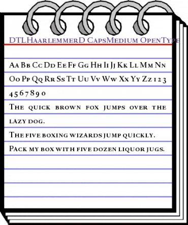 DTL Haarlemmer D Caps Medium animated font preview DTL Haarlemmer D Caps Medium animated font preview