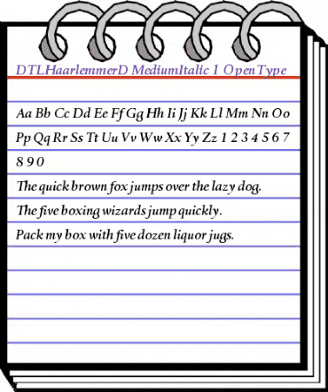 DTL Haarlemmer D Medium Italic animated font preview DTL Haarlemmer D Medium Italic animated font preview