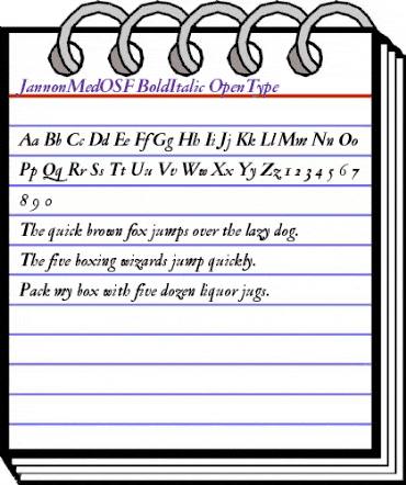 Jannon Med OSF Bold Italic animated font preview Jannon Med OSF Bold Italic animated font preview