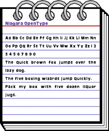 Niagara Regular animated font preview Niagara Regular animated font preview