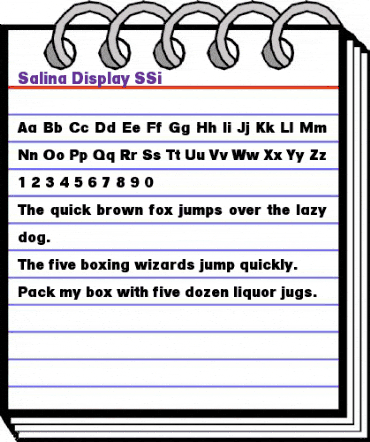 Salina Display SSi Regular animated font preview Salina Display SSi Regular animated font preview