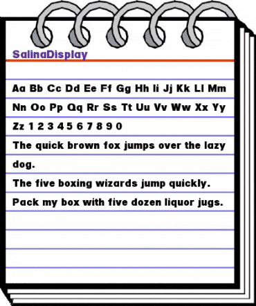 SalinaDisplay Regular animated font preview