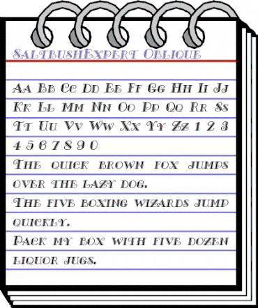 SaltbushExpert Oblique animated font preview SaltbushExpert Oblique animated font preview