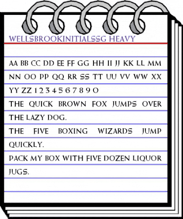 WellsbrookInitialsSG Regular animated font preview